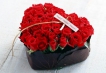    - PLD Travel
